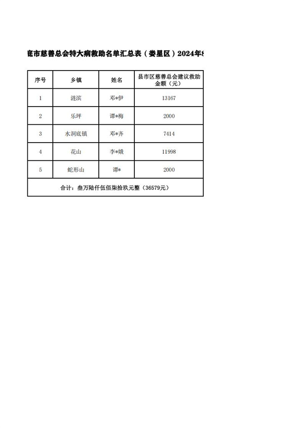 2024年特大病公示_04